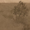 Daughters Of The Water VI By Aileen Fitz | shipping 6/9/2025