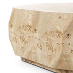 Elena Light Burl Coffee Table | shipping 6/3/2025