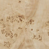 Elena Light Burl Coffee Table | shipping 6/3/2025