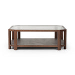 Jenzen Tempered Glass Coffee Table | ready to ship!