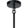 Klaus Jet Black Chandelier | ready to ship!