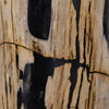 Kos Light Petrified Wood End Table | shipping 5/30/2025