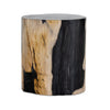 Kos Light Petrified Wood End Table | shipping 5/30/2025