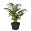 Koto Black Concrete Planter