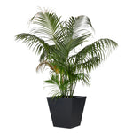 Koto Black Concrete Planter