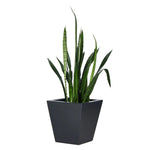 Koto Black Concrete Planter