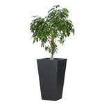 Koto Black Concrete Planter