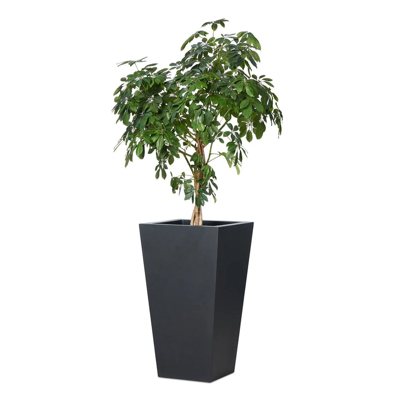 Koto Black Concrete Planter