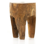 Amelia Teak Root End Table | ready to ship!