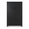Lexington Black Cabinet | ready to ship!