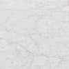 Masera White Carrara Marble Marble Coffee Table | ready to ship!