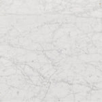 Masera White Carrara Marble Marble Coffee Table | ready to ship!