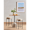 Nocona Bar + Counter Stool - Speckled Hide