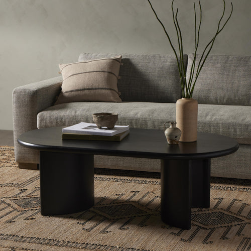 Paden Aged Black Acacia Coffee Table | ready to ship!