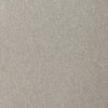 Reed Crete Pebble Accent Swivel Chair | ready to ship!