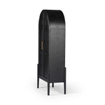 Tolle Drifted Matte Black Panel Door Cabinet | ready to ship!