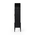 Tolle Drifted Matte Black Panel Door Cabinet | ready to ship!