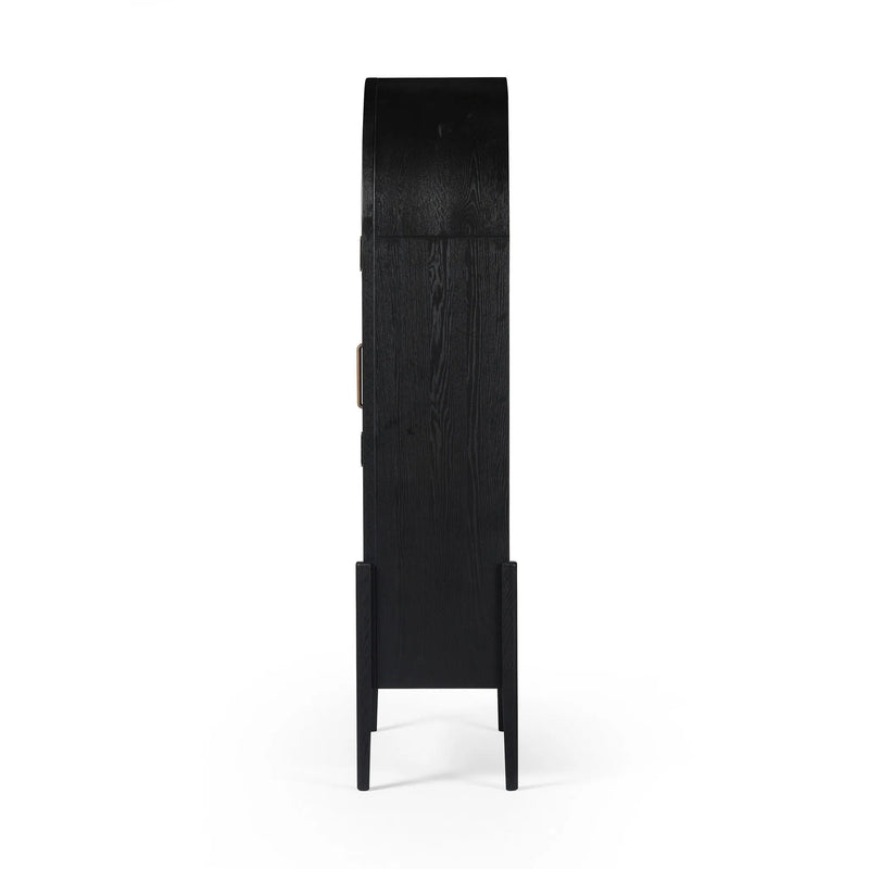 Tolle Drifted Matte Black Panel Door Cabinet | ready to ship!