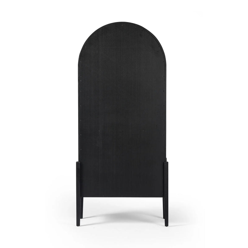 Tolle Drifted Matte Black Panel Door Cabinet | ready to ship!
