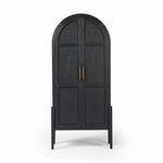 Tolle Drifted Matte Black Panel Door Cabinet | ready to ship!