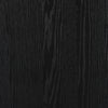 Tolle Drifted Matte Black Panel Door Cabinet | ready to ship!