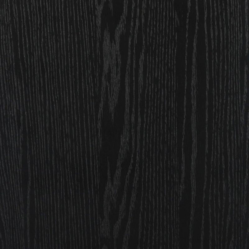 Tolle Drifted Matte Black Panel Door Cabinet | ready to ship!