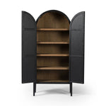 Tolle Drifted Matte Black Panel Door Cabinet | ready to ship!