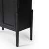Tolle Drifted Matte Black Panel Door Cabinet | ready to ship!