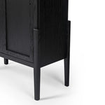Tolle Drifted Matte Black Panel Door Cabinet | ready to ship!