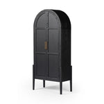 Tolle Drifted Matte Black Panel Door Cabinet | ready to ship!