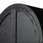 Tolle Drifted Matte Black Panel Door Cabinet | ready to ship!