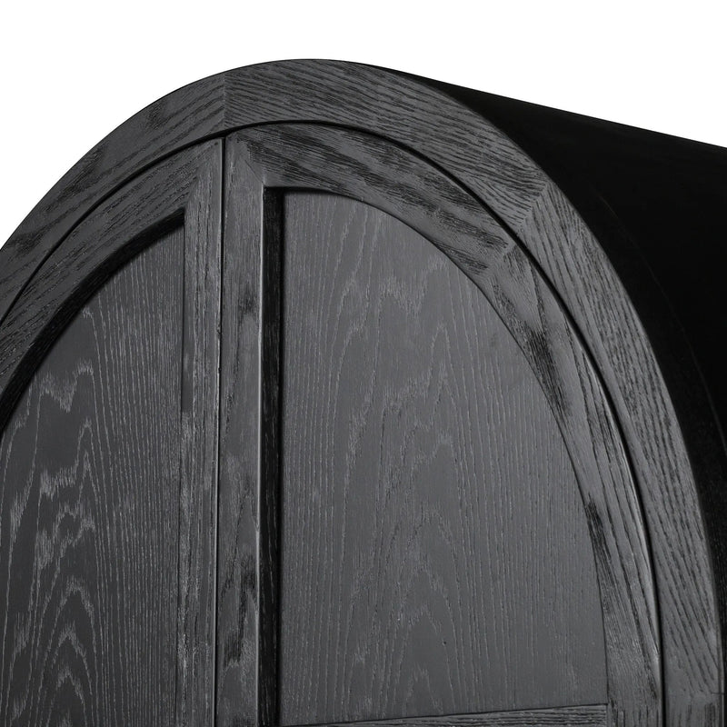 Tolle Drifted Matte Black Panel Door Cabinet | ready to ship!