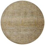 Jean Stoffer x Loloi Bradbury Dove / Gold Rug