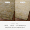 Jean Stoffer x Loloi Bradbury Dove / Gold Rug