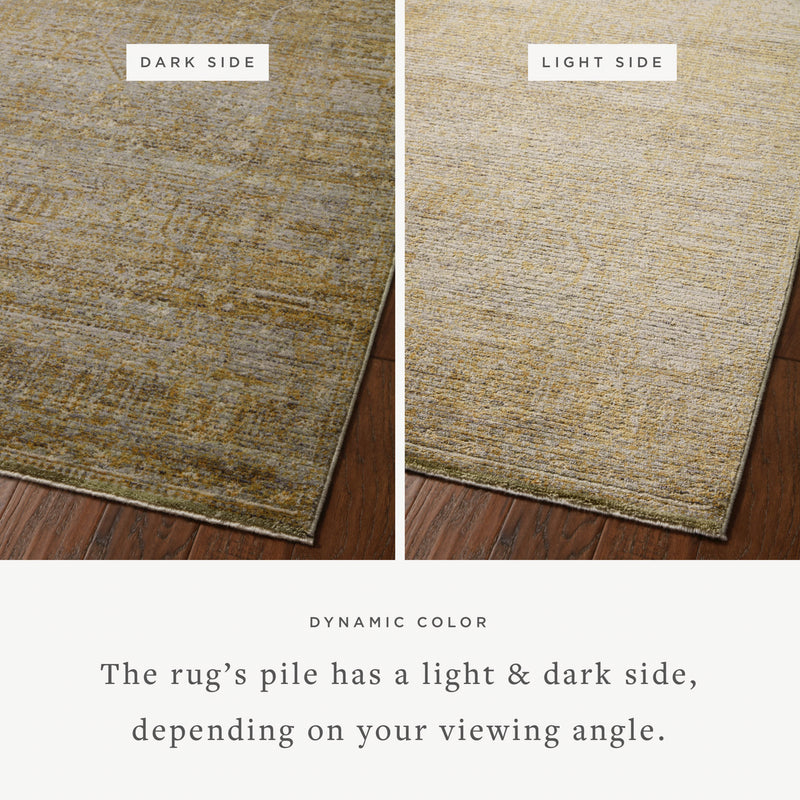 Jean Stoffer x Loloi Bradbury Dove / Gold Rug