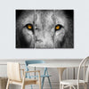 Lion Eyes Pop Wall Art