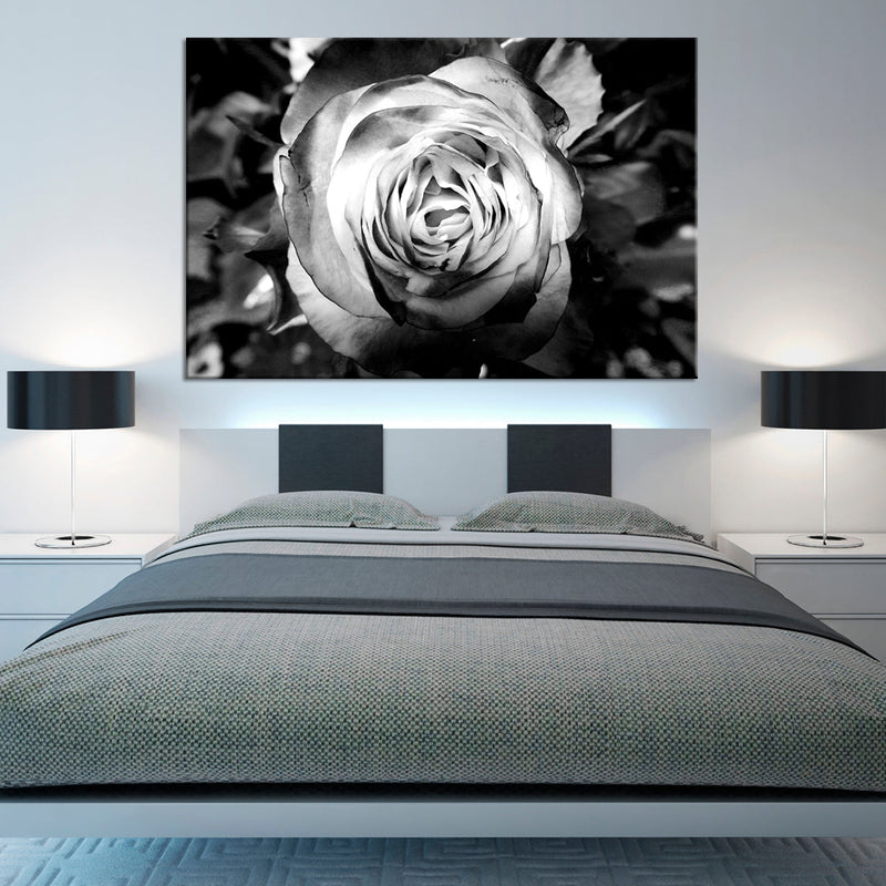 Monochromatic Rose Wall Art