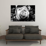 Monochromatic Rose Wall Art