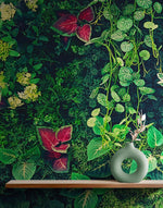 Greenery Jungle Bush Wallpaper Mural. Tropical Leaves / Fern Wallpaper. #6765