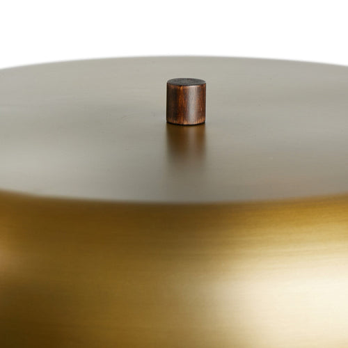Griffin Russet Mango Table Lamp | shipping 7/20/2025
