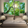 Tree Canopy Sunshine Wall Art