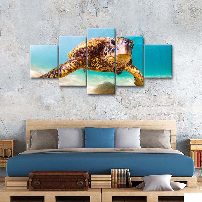 Hawaiian Turtle Wall Art