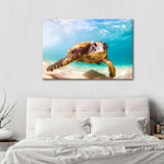 Hawaiian Turtle Wall Art