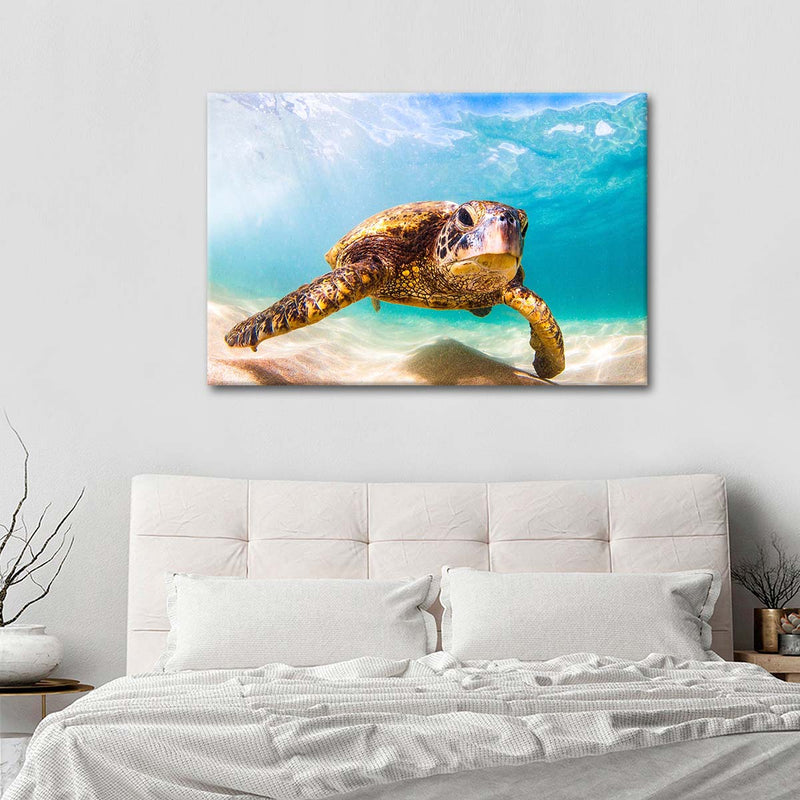 Hawaiian Turtle Wall Art