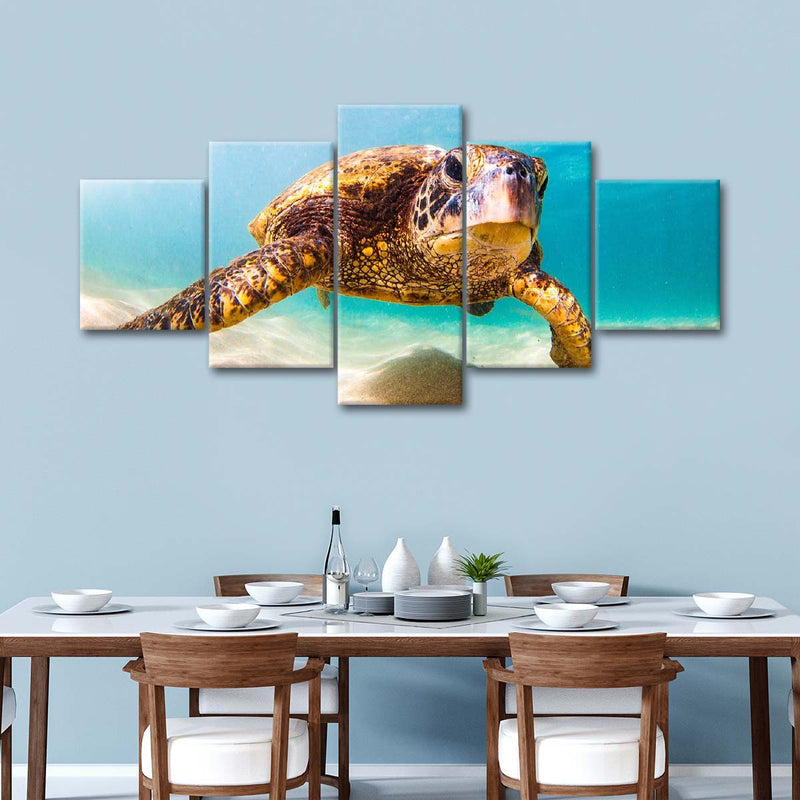 Hawaiian Turtle Wall Art