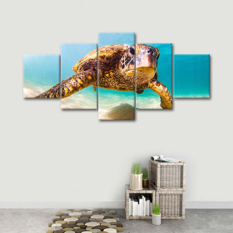 Hawaiian Turtle Wall Art