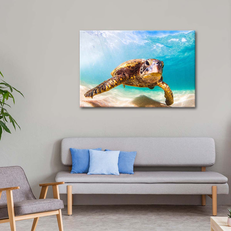 Hawaiian Turtle Wall Art