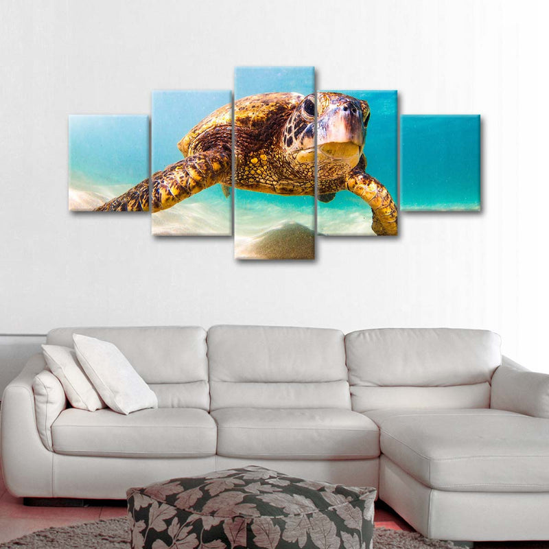 Hawaiian Turtle Wall Art