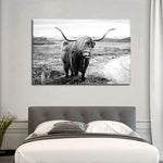 Highland Bull Wall Art