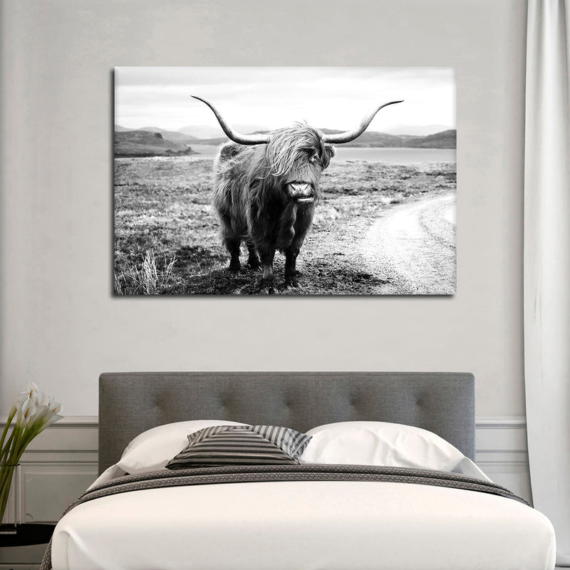 Highland Bull Wall Art
